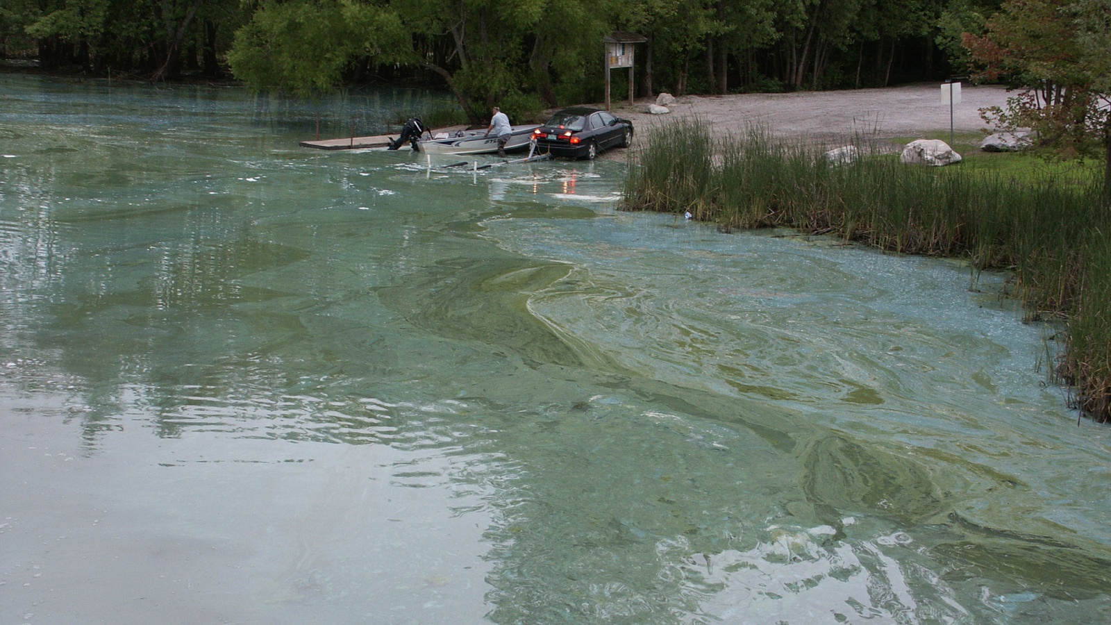 Bluegreen Algae at Rock River Access
